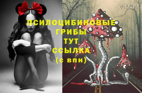 твердый Алзамай