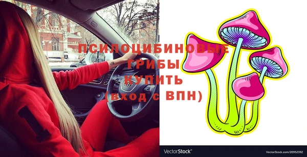твердый Алзамай