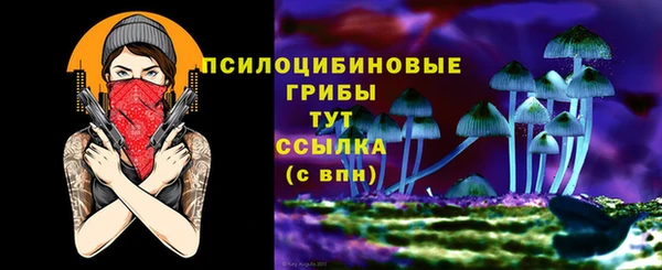 ALPHA PVP Алексин