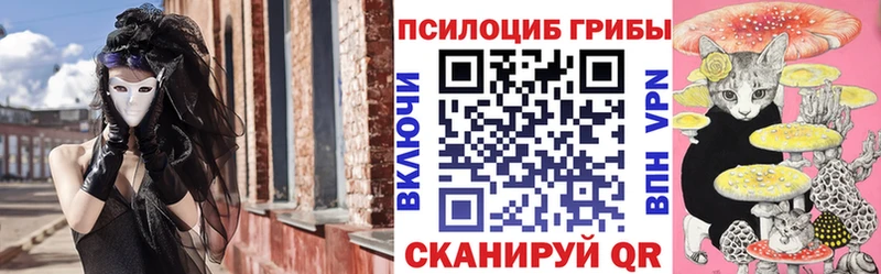 где можно купить   Евпатория  Псилоцибиновые грибы прущие грибы 